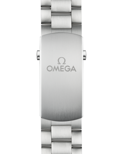 Seamaster Planet Ocean 600M 45.5mm Steel